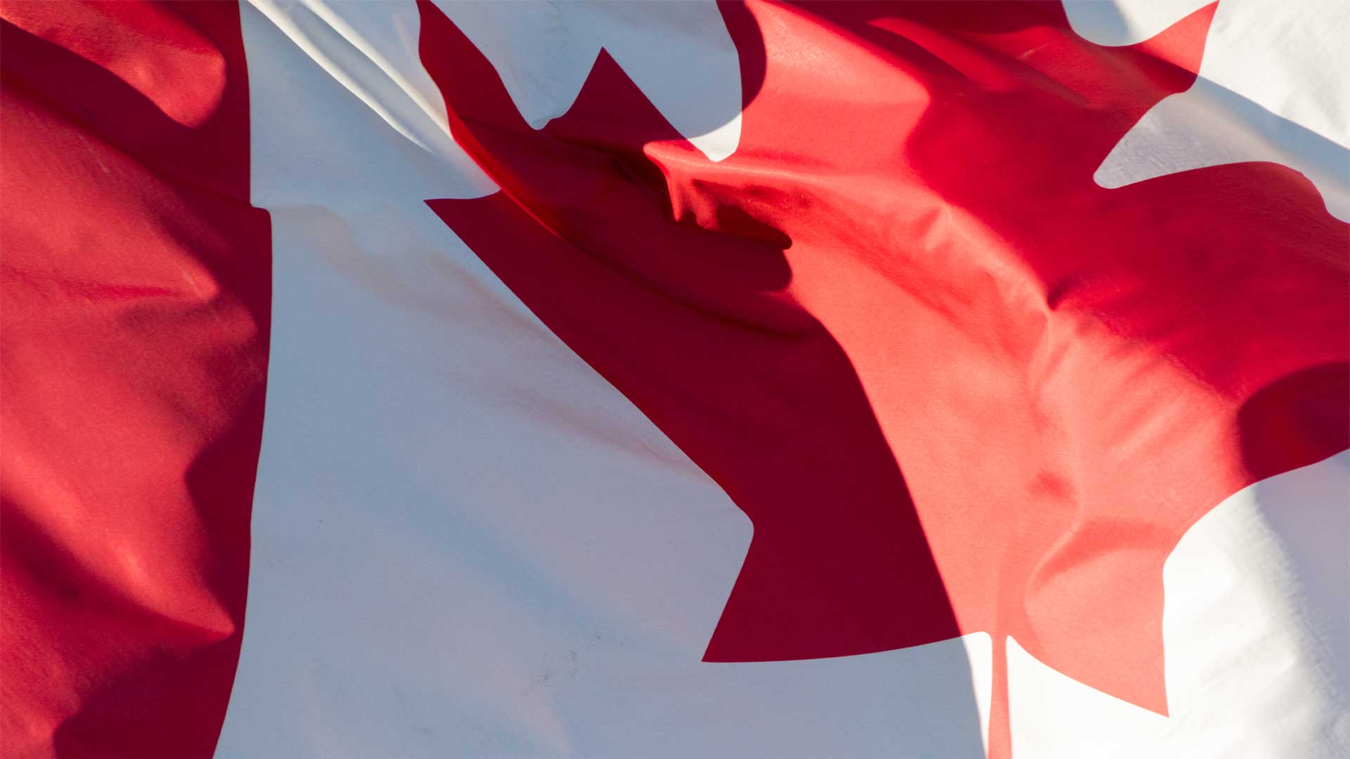 Des centaines de Canadiens se retrouvent au chômage après l’échec de Trudeau à conclure un accord sur le bois d’œuvre